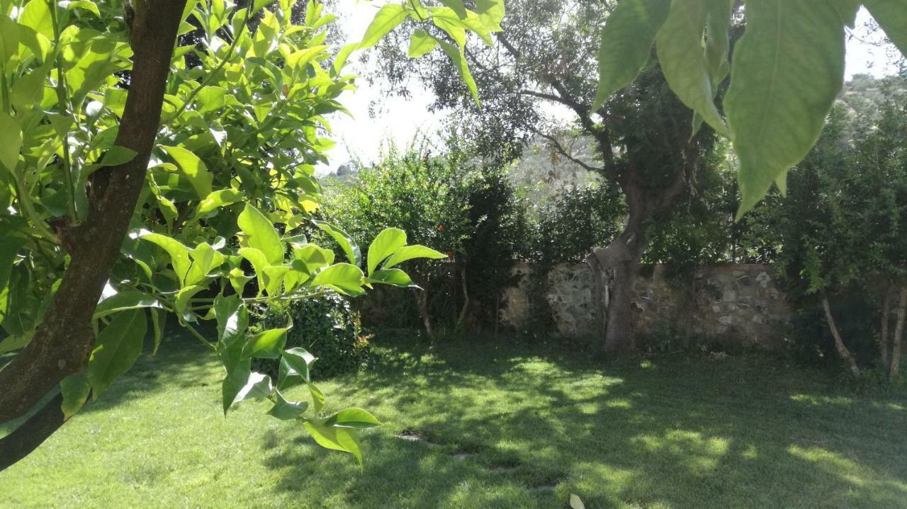 فندق Casa Eraldo Castellaccia المظهر الخارجي الصورة